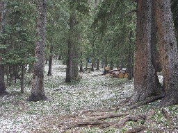 Hail at Clear Creek